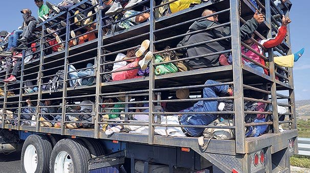 Hayvan kamyonlarında zorlu yolculuk