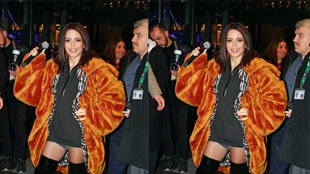 Hayvansever  Simge