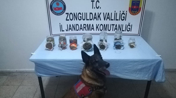 Hepsini kavanozun içine saklamışlar! Böyle bulundu