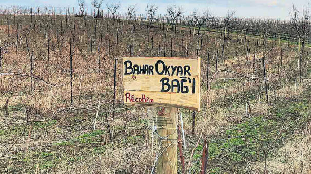 Herkes kendi ürününü üretecek
