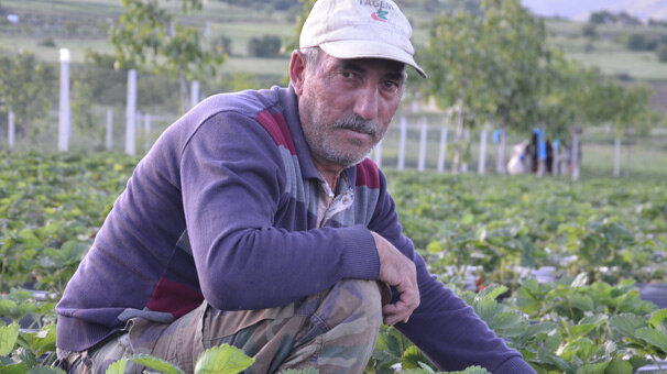 Herkes onu soruyor! Tadı farklı...