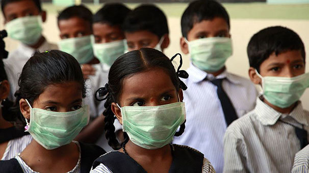 Hindistan'daki domuz gribi salgını 3 ayda 605 can aldı