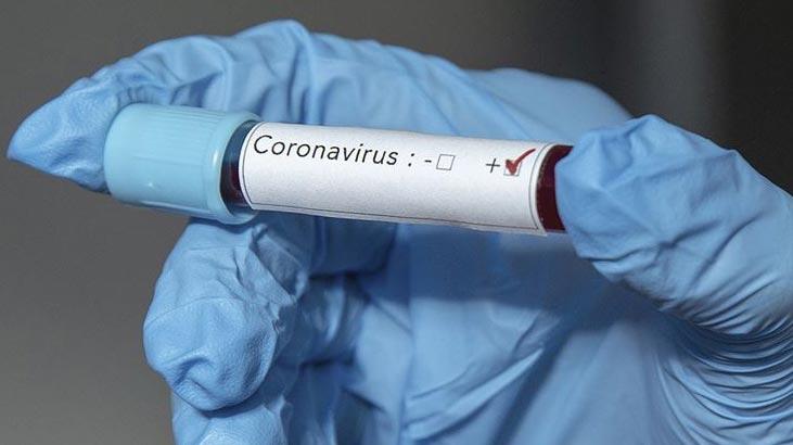 Hollanda’da corona virüsten ölenlerin sayısı 546'ya yükseldi