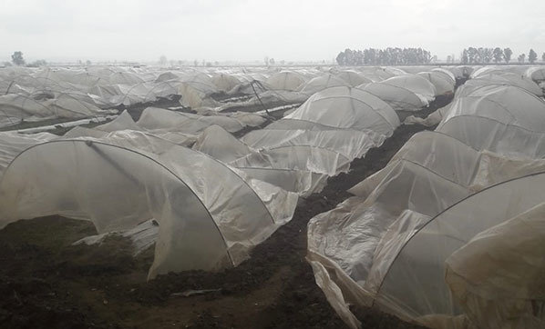 Hortum seraları böyle vurdu