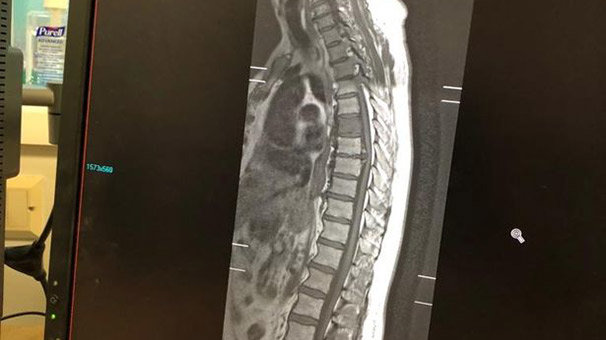 İçinden köpek çıktı!