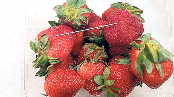 İğneli çilek krizi