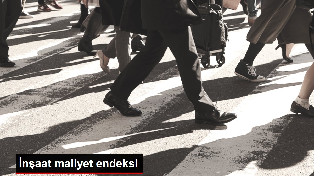 İnşaat maliyet endeksi