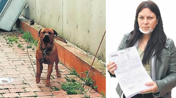 İş görüşmesine gitti, başına gelmeyen kalmadı!