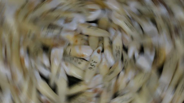 İşçiler gördüklerine inanamadı! Duvarın içinden yüzlercesi çıktı