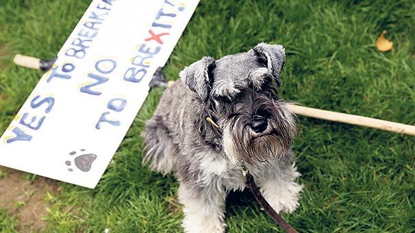 İskoçya da sesini  yükseltti