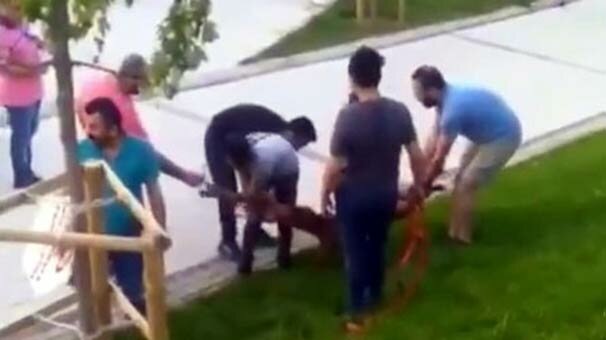 İstanbul'da pitbull dehşeti