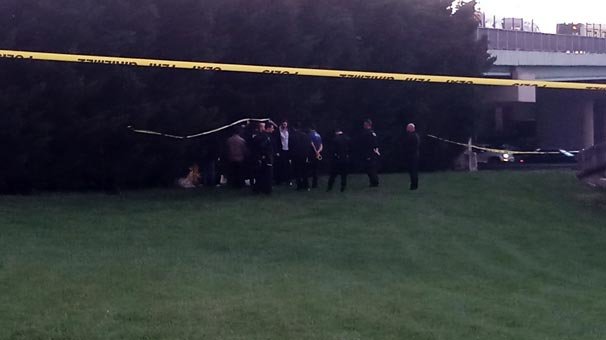 İstanbul'un göbeğinde şoke eden manzara! Ağaca asılı halde bulundu...