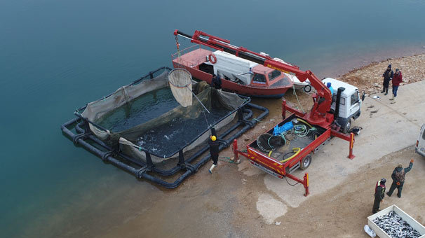 İtalya, Almanya, Hollanda ve Rusya’nın balığı Elazığ'dan