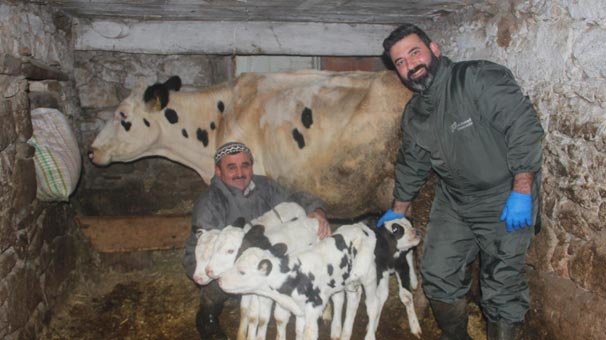İzmir'de dünyaya geldiler! Eşine az rastlanır olay