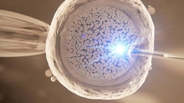 Japonya insan embriyosunda genetik değişikliğe izin verecek