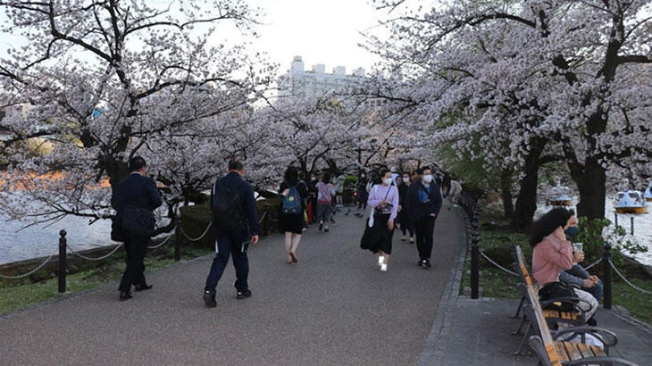 Japonya'da Kovid-19 nedeniyle uygulanan OHAL  31 Mayıs'a kadar uzatıldı