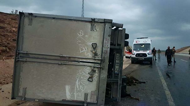 Kamyon koyun sürüsüne çarptı! Onlarca hayvan öldü