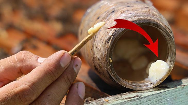 'Kanserin şifası' diye biliniyor! Kilosu 45 bin lira