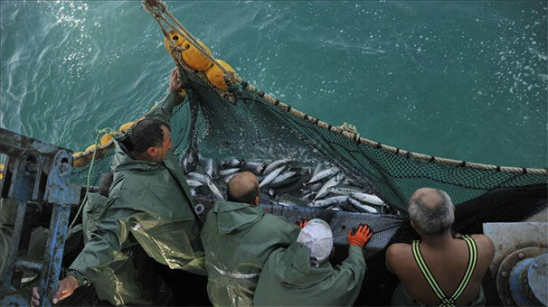 Karadeniz'de balık sezonu bereketli bitiyor
