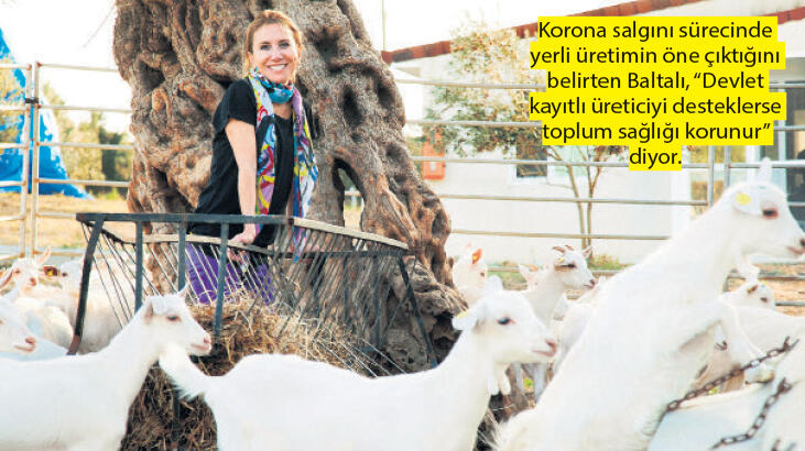 Keçiler hızlı ama  tüketici daha hızlı