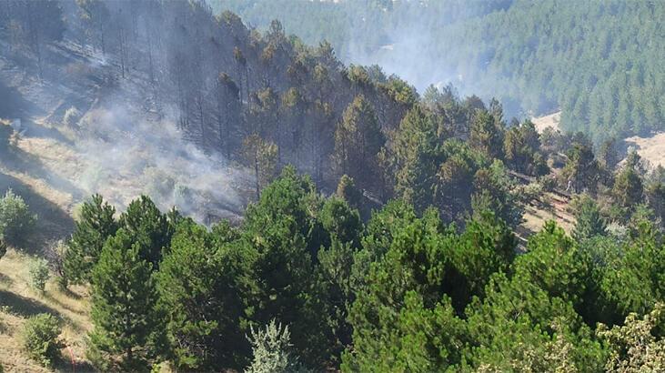 Kırıkkale'de ormanlık alanda çıkan yangın söndürüldü