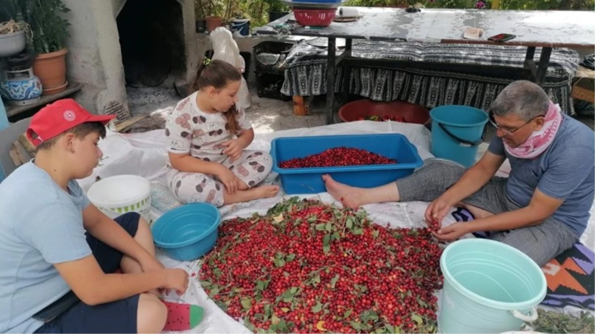 Kızılcık üretimini kırağı vurdu! Verim düşünce fiyat 50 TL'ye çıktı