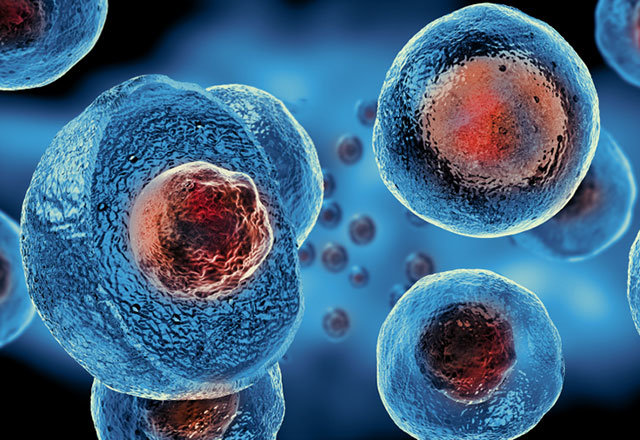 Kök hücre tedavisi hangi hastalıklara fayda sağlıyor?