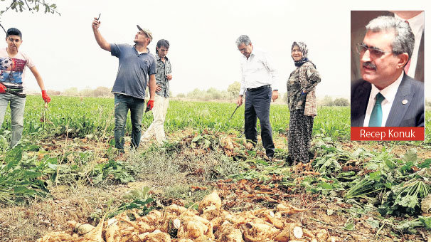 Konya Şeker çiftçiye 2.26 milyar TL ödedi