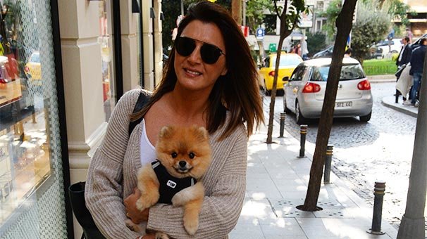Köpeğe kameralı koruma