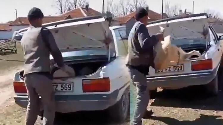 Köpeğin bagaja kilitlenmesine 2 bin 66 lira ceza!