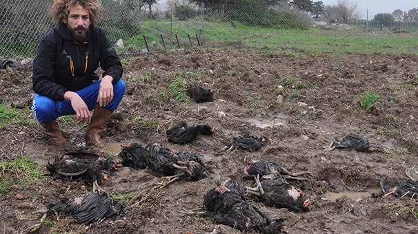 Korkunç! 'Geldiğimde gözlerime inanamadım'