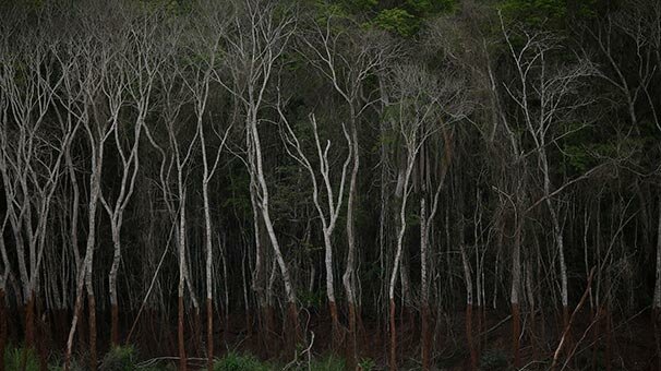 Korkutan rapor açıklandı: Artarak devam ediyor