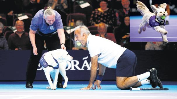 Kortların rehberleri