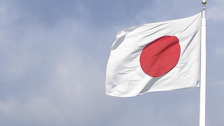 Küresel LNG ithalatında lider yine Japonya