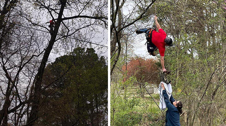 Kurtarmaya çalıştıkça yukarı tırmanan kedi 18 gün sonra kurtarıldı