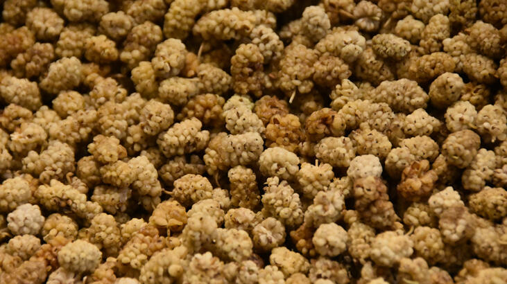 Kuru dut ihracatından 5 milyon dolar gelir sağlandı