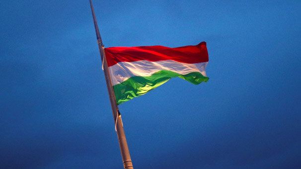 Macaristan'da YPG/PKK'lı teröristlere hapis cezası