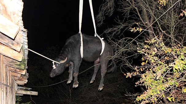 Mahsur kaldı vinçle kurtarıldı