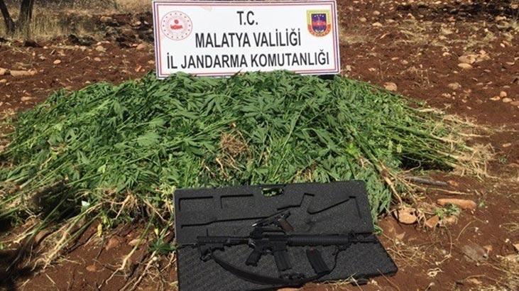 Malatya’da bir kişi kenevir ve silahlarla yakalandı!