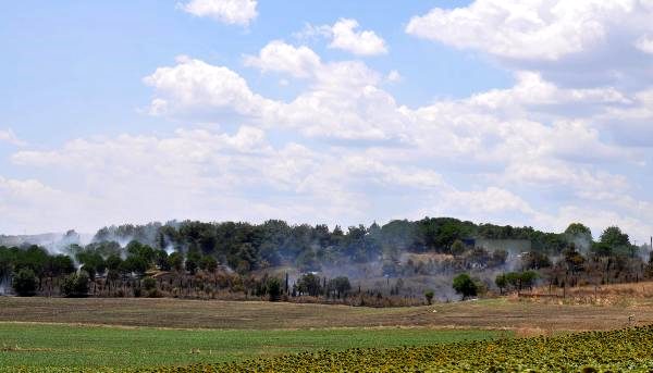 Malkara'da, yangında 50 dönüm ormanlık alan zarar gördü