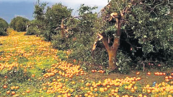 Market rafında hortum olmasın