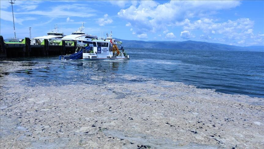 Marmara Denizi'ndeki müsilajın ekonomiye kazandırılması için saha çalışması başladı