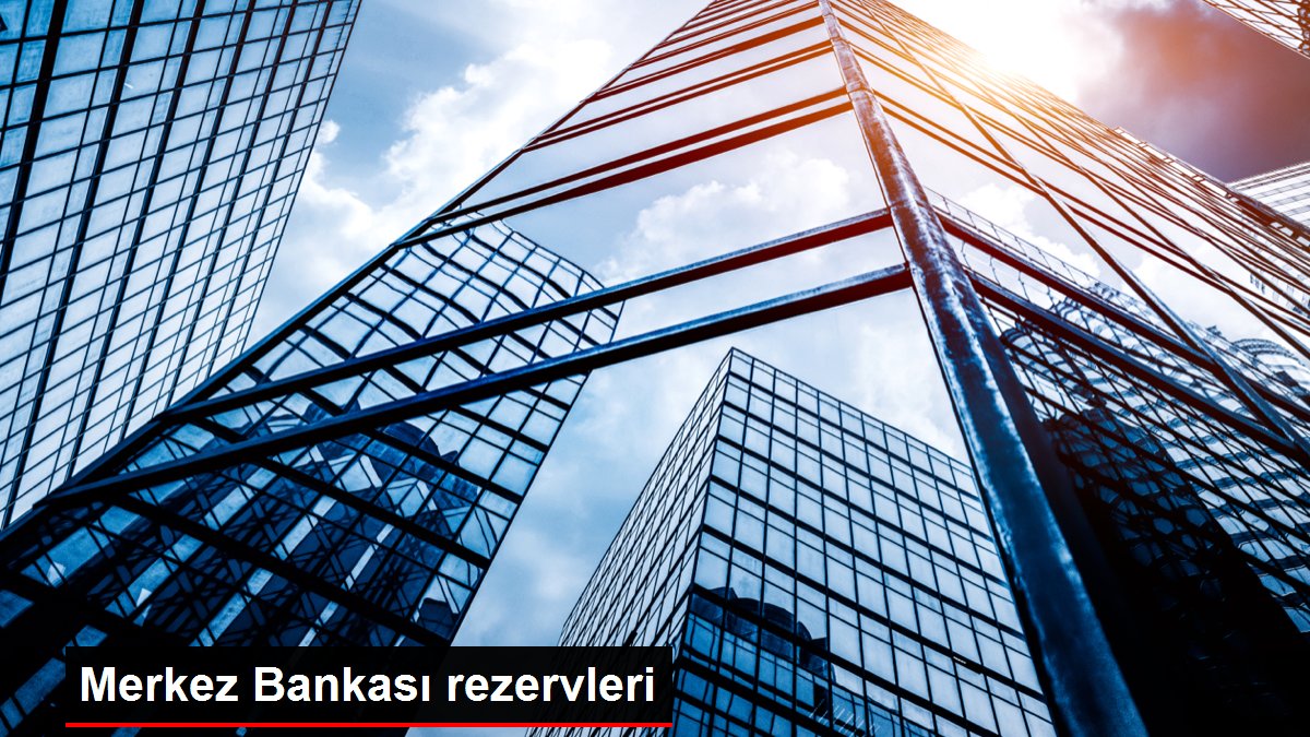 Merkez Bankası rezervleri