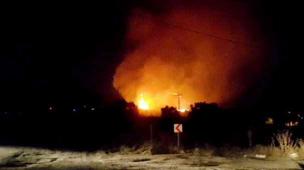 Milas’ta orman yangını