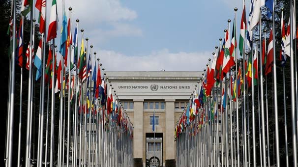 Milyonlarca balığın ölüm nedeni belli oldu!