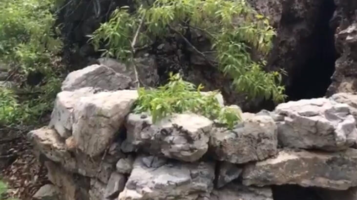 MSB: Terörü kaynağında kurutmaya kararlıyız