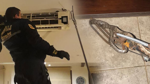 Muğla'da klimaya giren yılanı itfaiye ekibi çıkardı