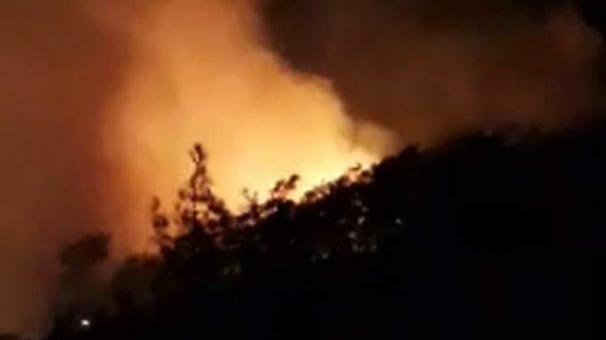 Muğla'nın Marmaris ilçesinde orman yangını