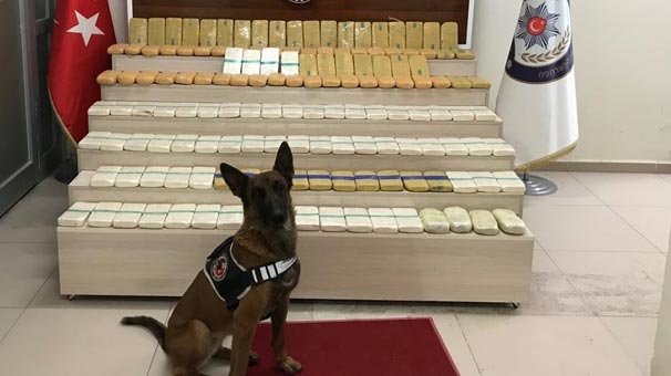 Narkotik köpeği Zeyna ile Lisa 86 kilo eroin yakalattı