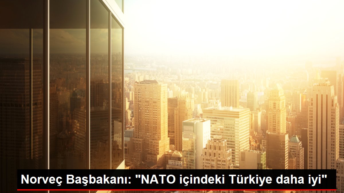 Norveç Başbakanı: 